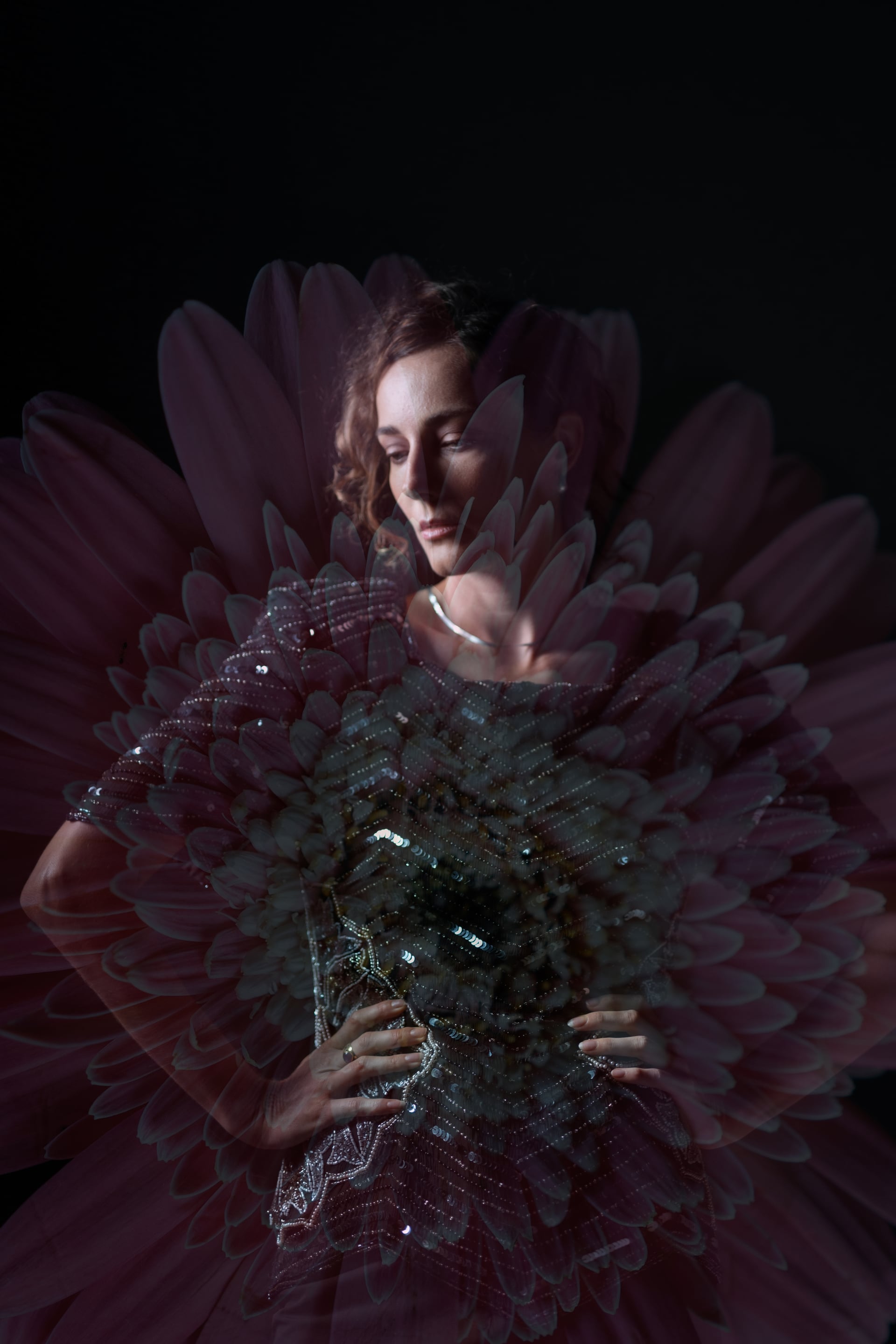 Lumen 11